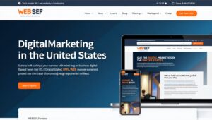 WEBSEF digital marketing agency AND SEO and PPC strategies in the United States